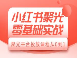 小红书聚光零基础实战，聚光平台投放课程从0到1-网创资源