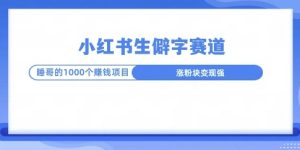 小红书生僻字玩法，快速涨分变现详解-网创资源