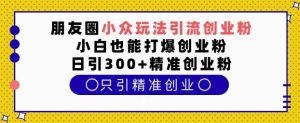 朋友圈小众玩法引流创业粉，小白也能打爆创业粉，日引300+精准创业粉【揭秘】-网创资源