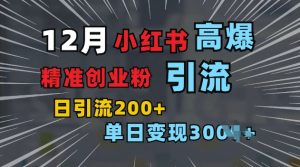 小红书一张图片“引爆”创业粉，单日+200+精准创业粉 可筛选付费意识创业粉【揭秘】-网创资源