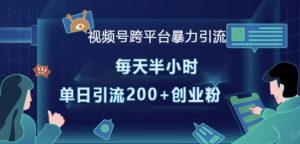 视频号跨平台暴力引流，每天半小时，单日引流200+精准创业粉-网创资源