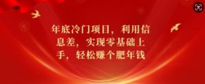 年底冷门项目，利用信息差，实现零基础上手，轻松赚个肥年钱【揭秘】-网创资源