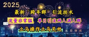 最新“跨年群”引流，流量非常猛，单日引流两人满人群，立马操作立马见效【揭秘】-网创资源