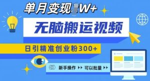 无脑搬运视频号可批量复制，新手即可操作，日引精准创业粉300+，月变现过W 【揭秘】-网创资源