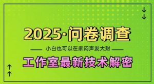 2025问卷调查最新工作室技术解密：一个人在家也可以闷声发大财，小白一天2张，可矩阵放大【揭秘】-网创资源