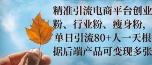 小投资撬动大收益，精准引流创业粉、行业粉，单日引流80+，一天可变现多张-网创资源
