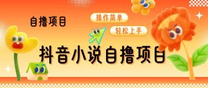 抖音小说自撸项目，操作简单轻松上手-网创资源