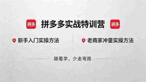 （18309期）拼多多实战特训营(更新5月3)：不管是新手入门或老商家冲量，都有实操方法，跟着学，少走弯路-网创资源
