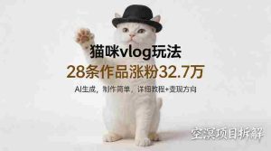 猫咪vlog玩法，28条作品涨粉32.7W，AI生成，制作简单，详细教程+变现方向-网创资源