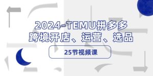 2024TEMU拼多多跨境开店、运营、选品（25节视频课）-网创资源