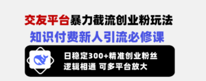 （14432期）交友网站暴力行为截留自主创业粉游戏玩法，社交电商新手引流方法必修课程，日平稳300 精确…-网创资源