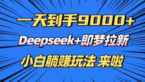 （14371期）日入9000 ！Deepseek 即梦拉新，初学者躺着赚钱攻略大全来了！-网创资源