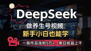 （14270期）新手用DeepSeek做健康养生号，一条著作增粉5万 ，单日盈利过千-网创资源