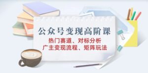 （14177期）微信公众号转现高级课：受欢迎跑道、对标分析、广告商转现步骤、引流矩阵游戏玩法-网创资源