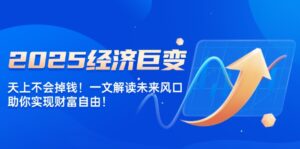 （14115期）2025经济发展巨大变化，天上不会掉钱！一文讲解将来出风口，帮助你实现财务自由！-网创资源