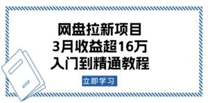（13994期）网盘拉新项目：3月收益超16万，入门到精通教程-网创资源