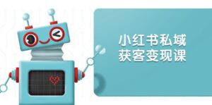 （13955期）小红书私域获客变现：账号设置/内容创作/规则解读/投放策略/获客技巧等-网创资源