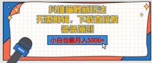 抖推猫最新玩法，小白也能月入5000+，小说推文无需剪辑，直接代发，2分钟直接搞定-网创资源