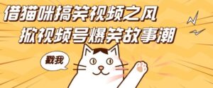 借猫咪搞笑视频之风，掀视频号爆笑故事潮，轻松日入四位数，无门槛快速入门!-网创资源