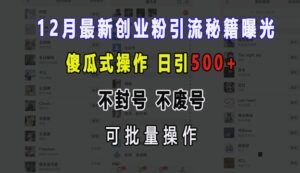 12月最新创业粉引流秘籍曝光 傻瓜式操作 日引500+ 不封号 不废号 可批量操作【揭秘】-网创资源