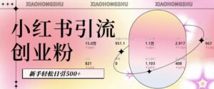 小红书私域引流无脑操作法：AI生成内容，粉丝自动转化，新手轻松日引500+创业粉-网创资源