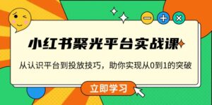 （13775期）小红书 聚光平台实战课，从认识平台到投放技巧，助你实现从0到1的突破-网创资源