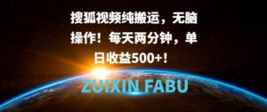 搜狐视频纯搬运，无脑操作!每天两分钟，单日收益5张-网创资源