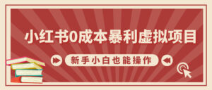 小红书0成本暴利虚拟项目，新手小白也能操作，轻松实现月入过W-网创资源