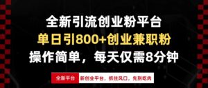 （13695期）全新引流创业粉平台，单日引800+创业兼职粉，抓住风口先到吃肉，每天仅…-网创资源