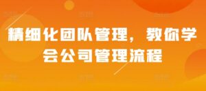 精细化团队管理，教你学会公司管理流程-网创资源