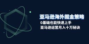 （13644期）亚马逊海外掘金策略，0基础也能快速上手，亚马逊运营月入十万秘诀-网创资源