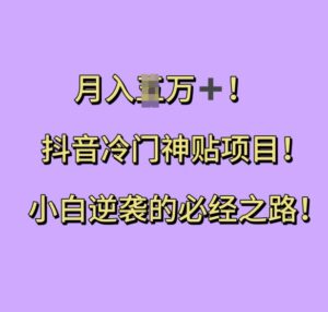 抖音冷门神贴项目，小白逆袭的必经之路，月入过W【揭秘】-网创资源