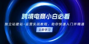 （13503期）跨境电商小白必看！独立站建站+运营实战教程，助你快速入门并精通-网创资源