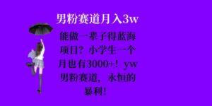 能做一辈子的蓝海项目？小学生一个月也有3000+，yw男粉赛道，永恒的暴利-网创资源