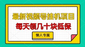 （13452期）视频号挂机项目，每天几十块低保，懒人专属-网创资源
