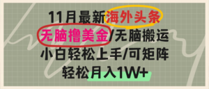 （13390期）海外头条，无脑搬运撸美金，小白轻松上手，可矩阵操作，轻松月入1W+-网创资源