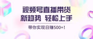 （13370期）视频号直播带货新趋势，轻松上手，带你实现日赚500+-网创资源