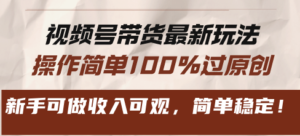（13337期）视频号带货最新玩法，操作简单100%过原创，新手可做收入可观，简单稳定！-网创资源