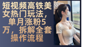 （13319期）短视频高铁美女热门玩法，单月涨粉5万，拆解全套操作流程-网创资源