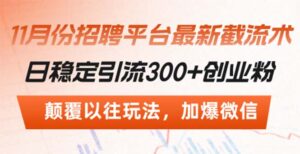 （13309期）招聘平台最新截流术，日稳定引流300+创业粉，颠覆以往玩法 加爆微信-网创资源