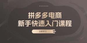 （13289期）拼多多电商新手快速入门课程：涵盖基础、实战与选款，助力小白轻松上手-网创资源