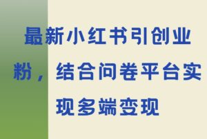 最新小红书引大学生创业粉，结合问卷平台实现多端变现-网创资源