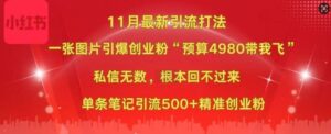 小红书11月最新图片打粉，一张图片引爆创业粉，“预算4980带我飞”，单条引流500+精准创业粉-网创资源