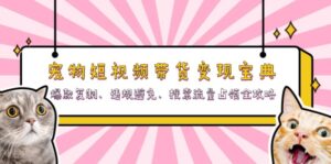 （13227期）宠物短视频带货变现宝典：爆款复制、违规避免、搜索流量占领全攻略-网创资源