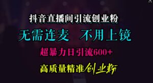 抖音直播间引流创业粉，无需连麦、无需上镜，超暴力日引流600+高质量精准创业粉【揭秘】-网创资源