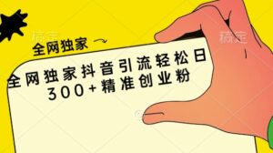 全网独家抖音引流轻松日引300+精准创业粉-网创资源