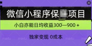 微信小程序保Z项目，独家变现，日均收益几张-网创资源