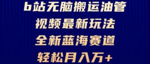 （13155期）B站无脑搬运油管视频最新玩法，轻松月入过万，小白轻松上手，全新蓝海赛道-网创资源