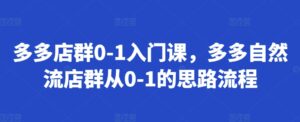 多多店群0-1入门课，多多自然流店群从0-1的思路流程-网创资源