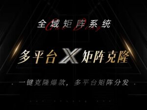 （13126期）全域矩阵系统，可一键克隆爆款矩阵分发到多个平台！矩阵操作日引流500+！-网创资源